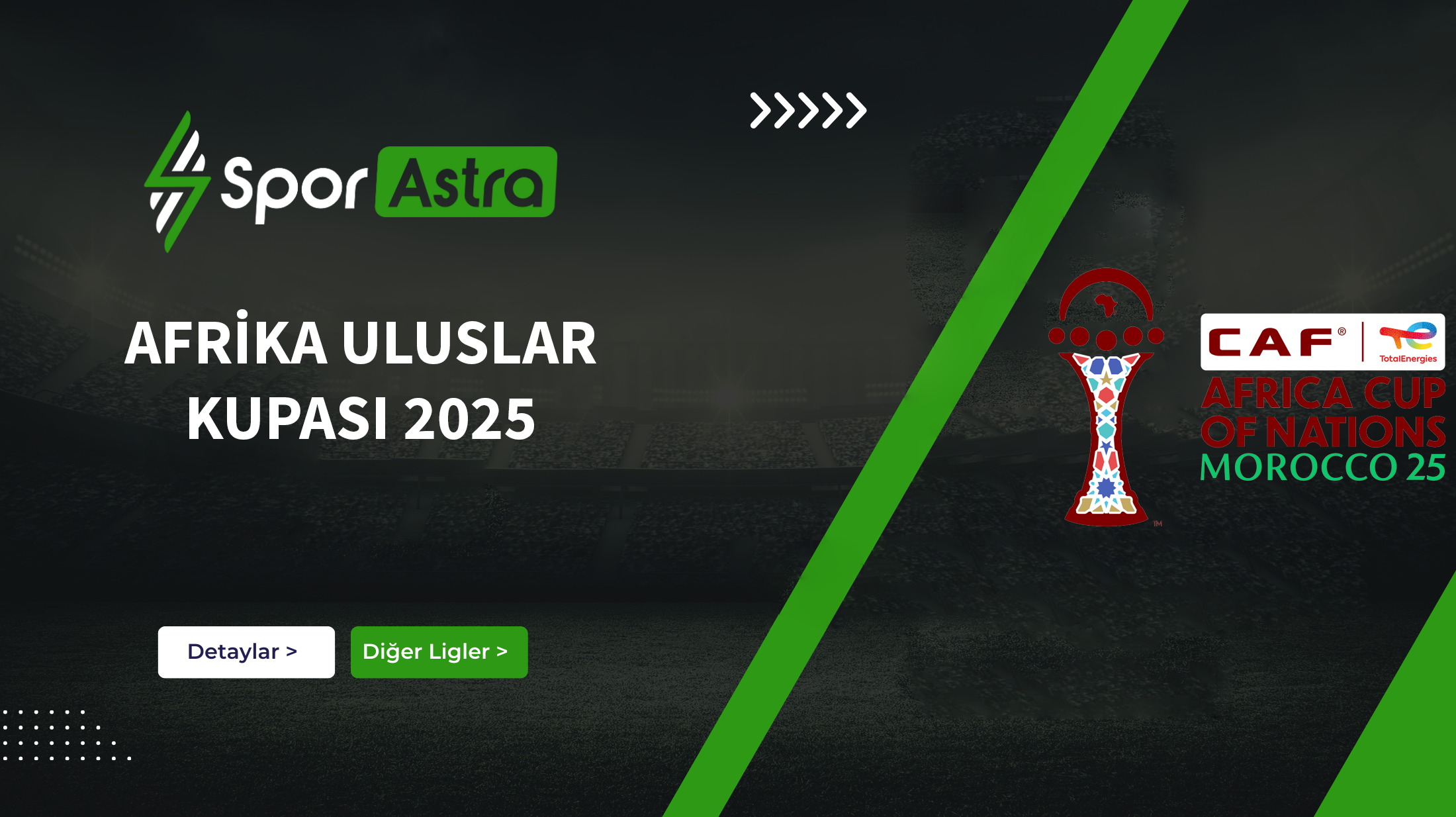 Afrika Uluslar Kupası